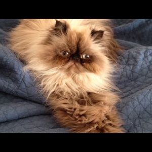 Meet your Posher, Sally